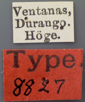 Media type: image; Entomology 8827   Aspect: labels 2
